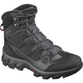Salomon Breccia 2 GTX Winterschuh