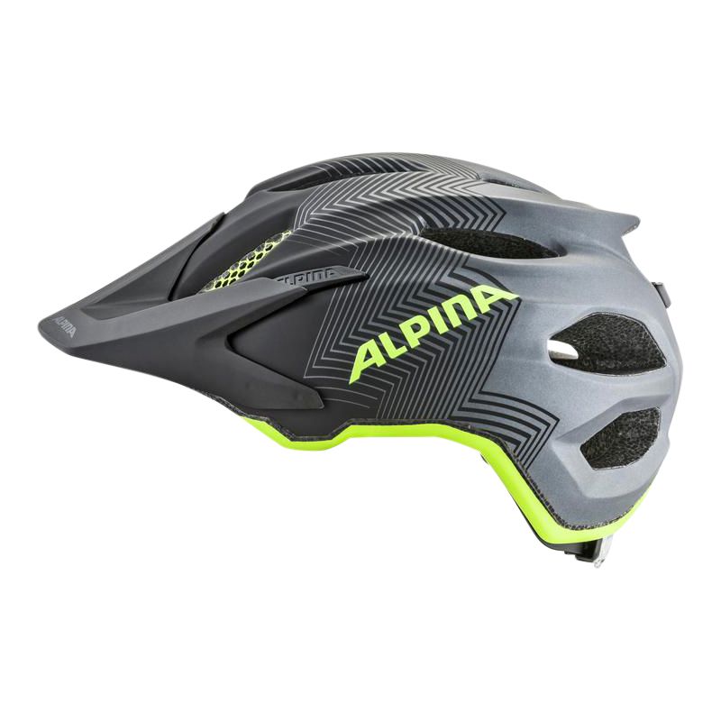 Alpina Carapax Radhelm