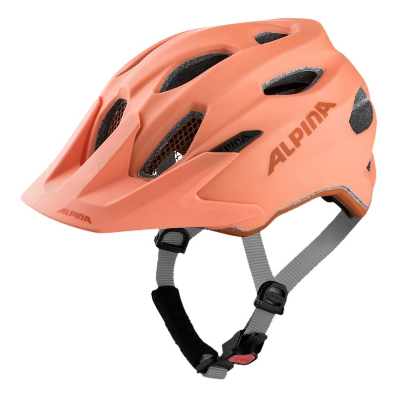 Alpina Carapax Radhelm