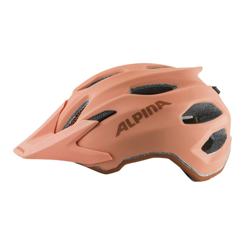 Alpina Carapax Radhelm