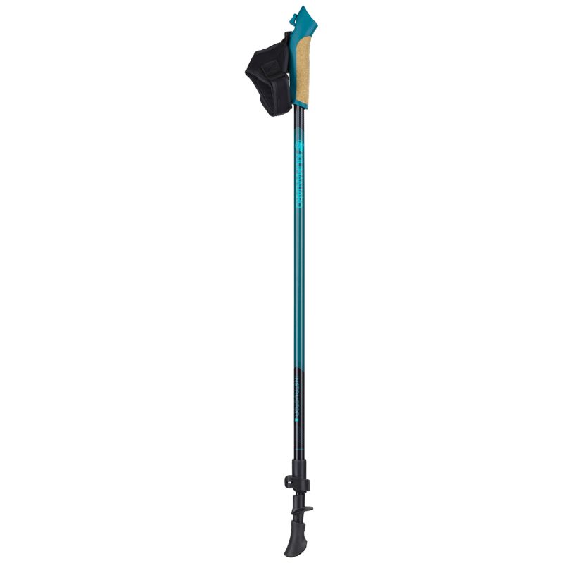 Kilimanjaro Instructor 3 Stock