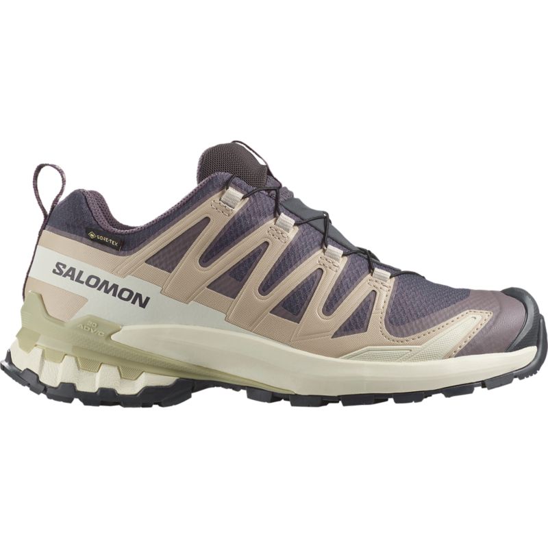 Salomon XA PRO 3D V9 GTX Laufschuh