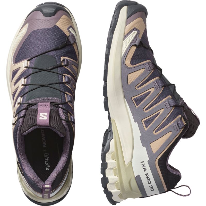Salomon XA PRO 3D V9 GTX Laufschuh