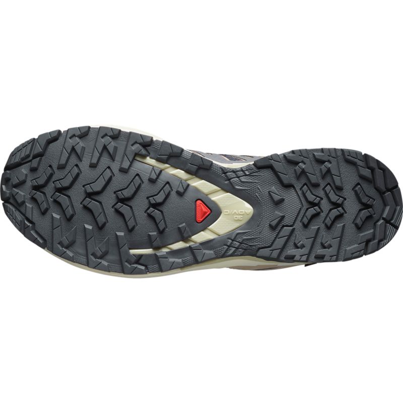 Salomon XA PRO 3D V9 GTX Laufschuh