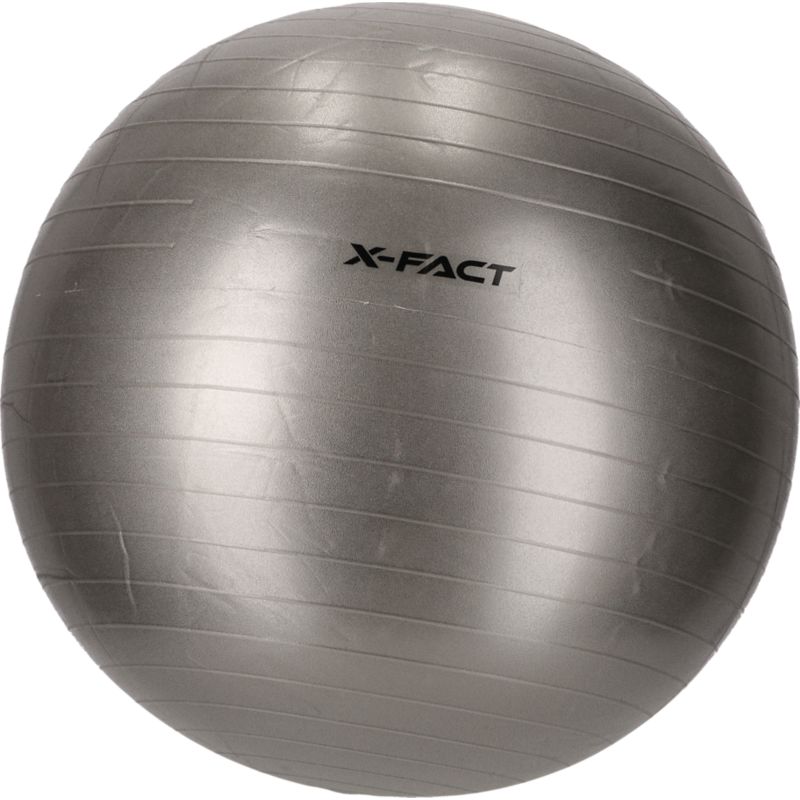 X Fact Gym Ball 55cm Gymnastikball
