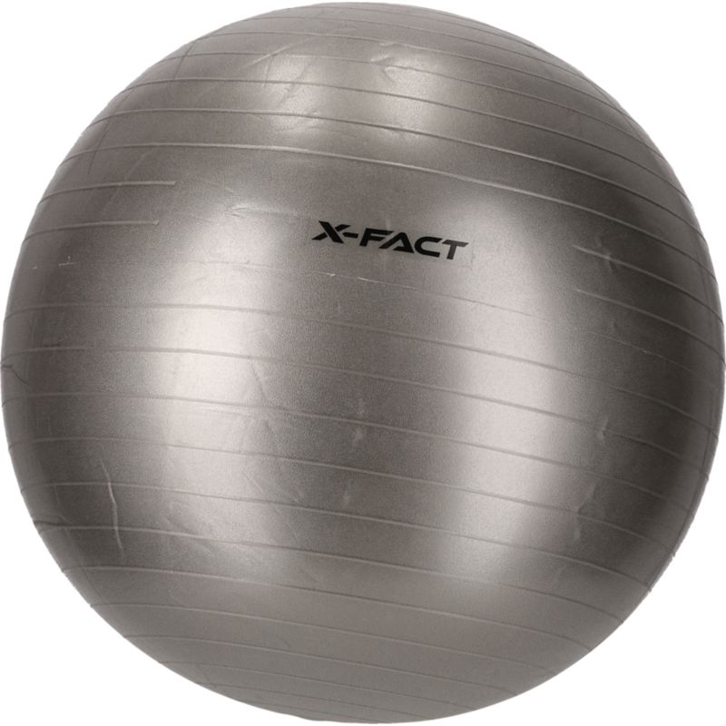X Fact Gym Ball 65cm Gymnastikball