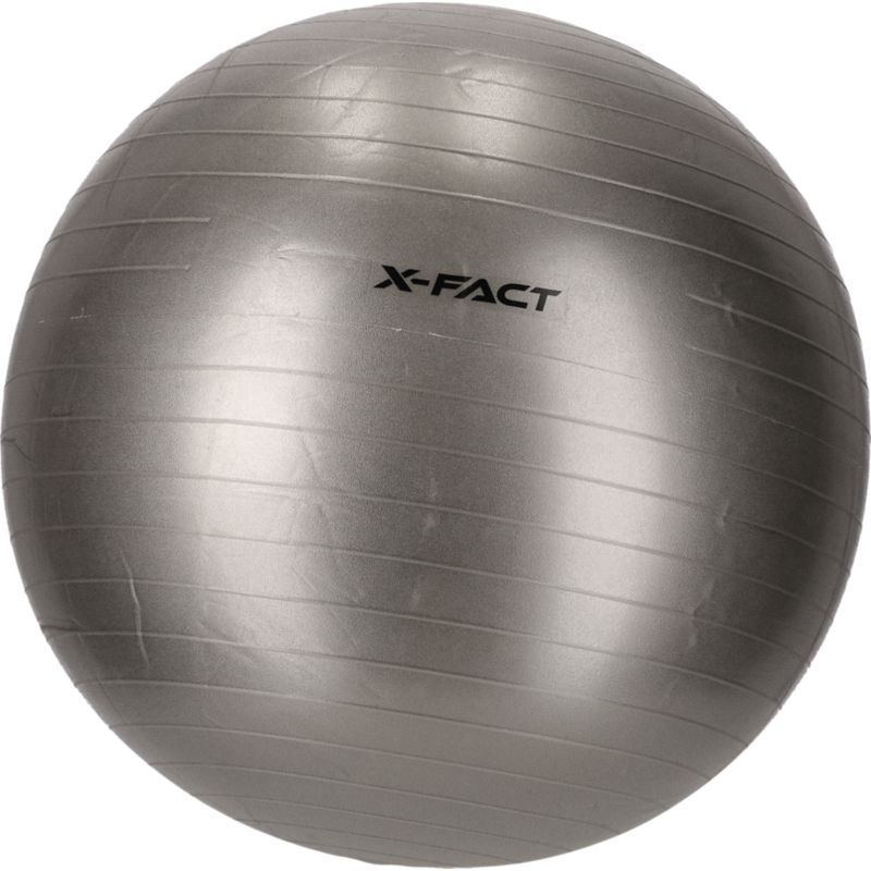 X Fact Gym Ball 75cm Gymnastikball