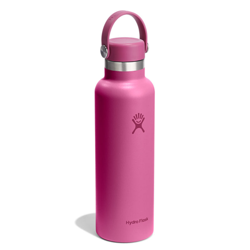 Hydro Flask 21 oz Standard Flex Cup Trinkflasche