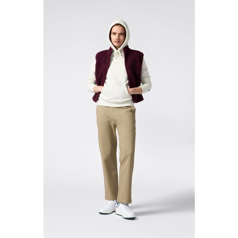 Champion ICONS TONAL Hoodie Pullover