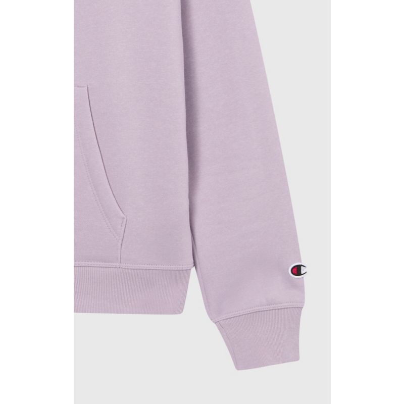 Champion ICONS TONAL Hoodie Pullover