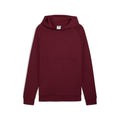 Puma PUMATECH Hoodie Pullover