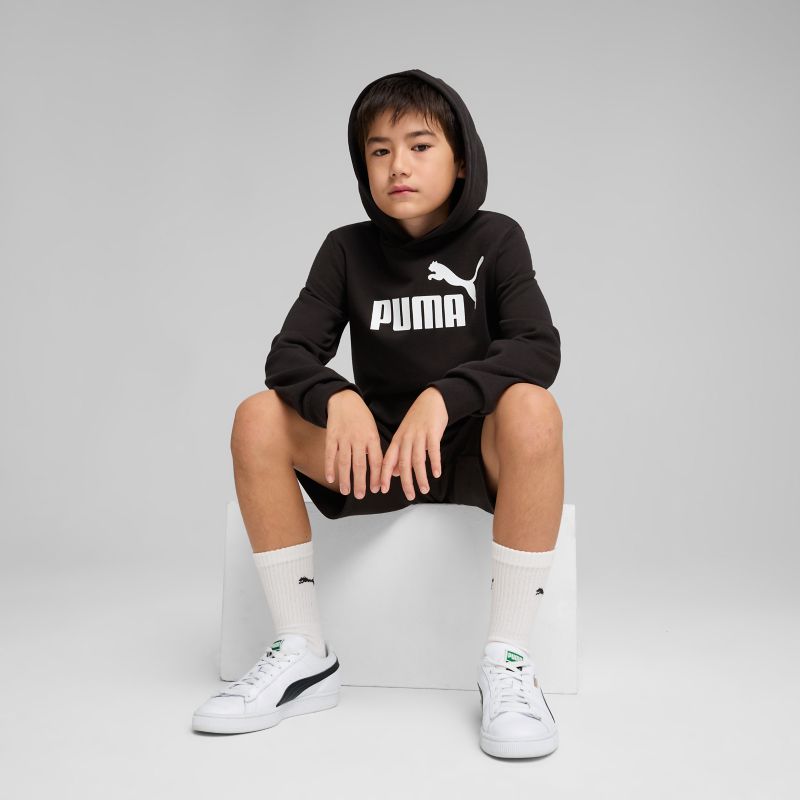 Puma ESS No. 1 Logo Hoodie TR Pullover