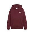 Puma ESS Small No. 1 Logo Relaxed Hoodie FL Pullover