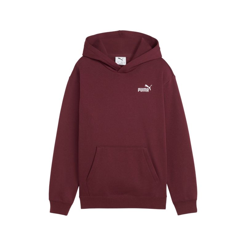 Puma ESS Small No. 1 Logo Relaxed Hoodie FL Pullover