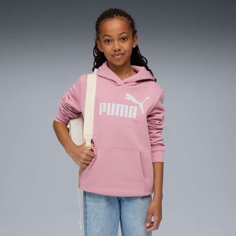 Puma ESS No. 1 Logo Hoodie FL Pullover
