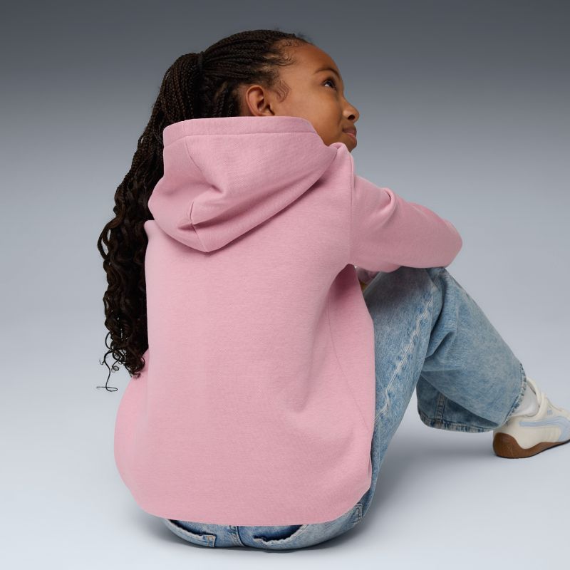 Puma ESS No. 1 Logo Hoodie FL Pullover