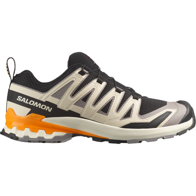 Salomon XA PRO 3D V9 Laufschuh