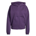 Adidas Future Icons Small Logo Full Zip Hoodie Pullover