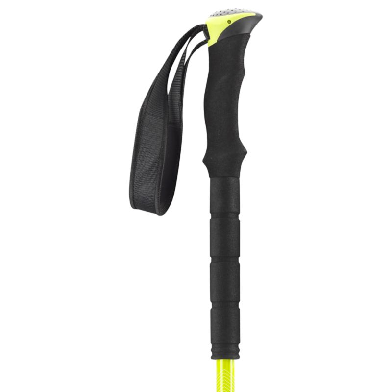 Kilimanjaro Tour 2 Carbon Stock