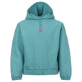 Benger BW Hoody Pullover