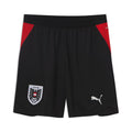 Puma Österreich Shorts Replica Fußballshort