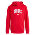 Adidas Codes Collegiate Graphic Hoodie Pullover