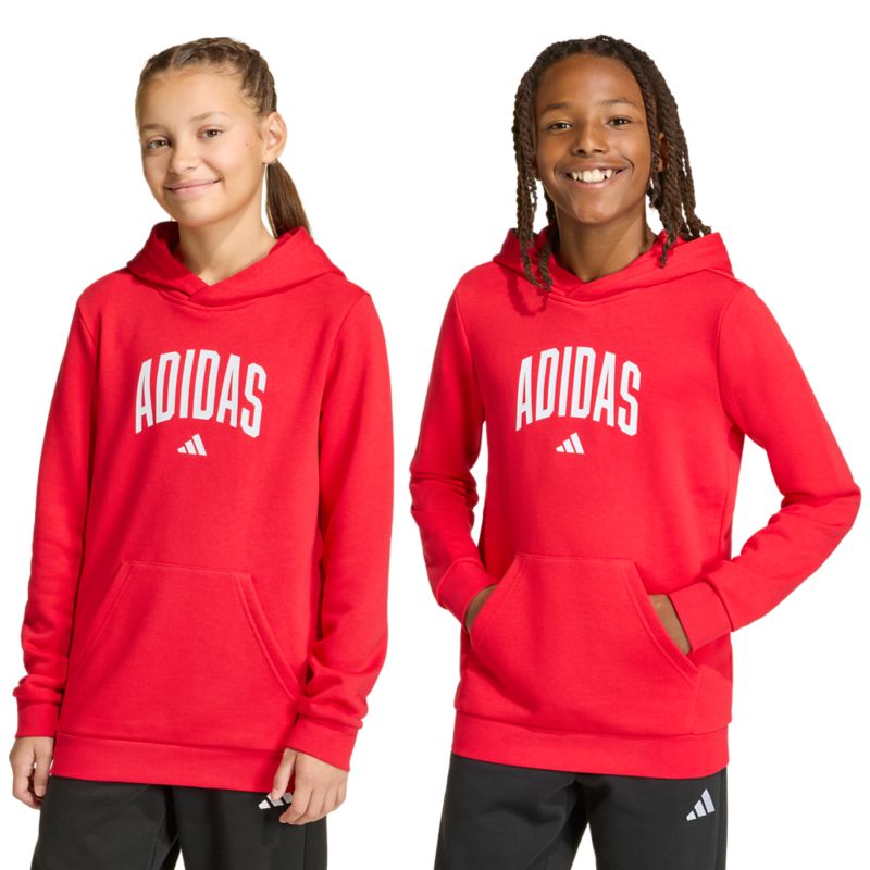 Adidas Codes Collegiate Graphic Hoodie Pullover