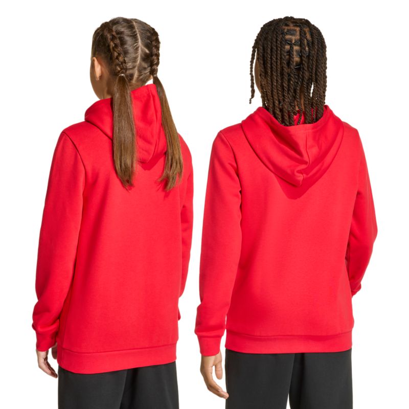 Adidas Codes Collegiate Graphic Hoodie Pullover