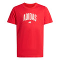 Adidas Collegiate Graphic Kids Tee T-Shirt