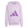 Adidas Essentials Kids Hoodie Pullover