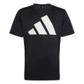 Adidas Train Essentials Big Logo Tee Funktionsshirt