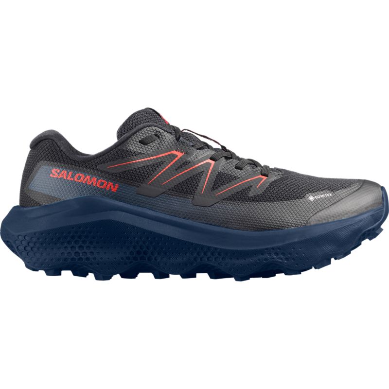 Salomon ULTRA FLOW 2 GTX Laufschuh
