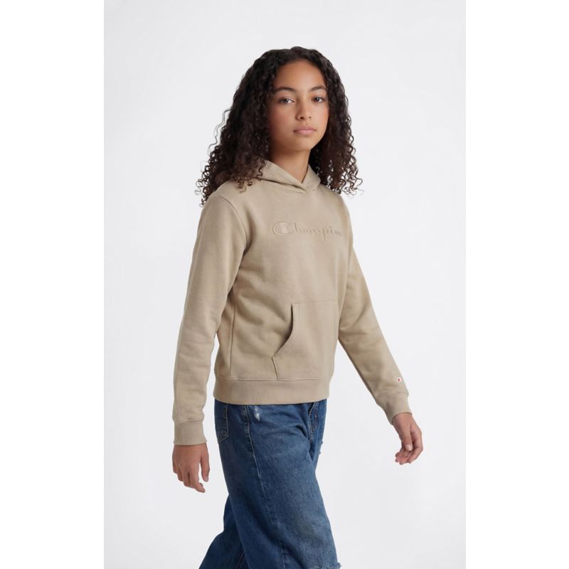 Champion Hooded Sweatshirt Pullover