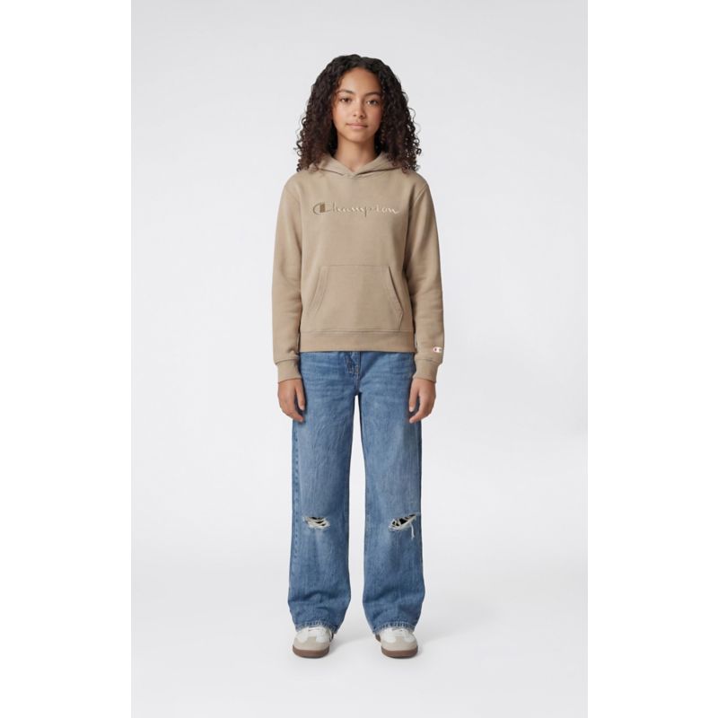 Champion Hooded Sweatshirt Pullover