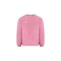 Champion Crewneck Sweatshirt Pullover