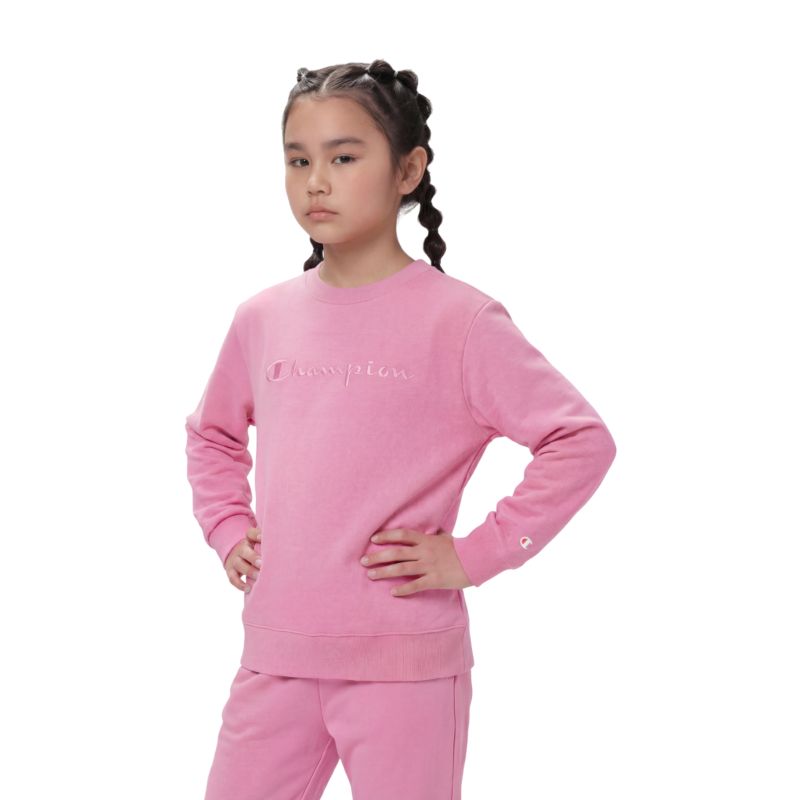 Champion Crewneck Sweatshirt Pullover
