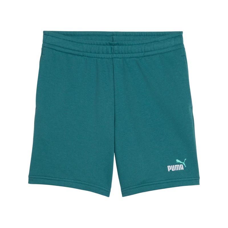 Puma ESS 2 COLOR No. 1 Logo Shorts TR B Short