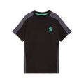 Puma ACTIVE SPORTS Small Graphic Tee B Funktionsshirt