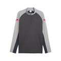 Puma IndividualLIGA 1/4 Zip Top Funktionsshirt