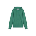 Champion Hooded Sweatshirt Pullover