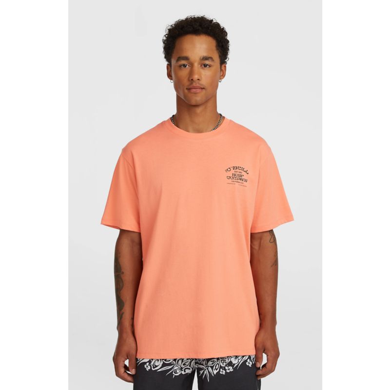 O´Neill Chest Print Tee T-Shirt