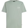 O´Neill Original Cali Tee T-Shirt