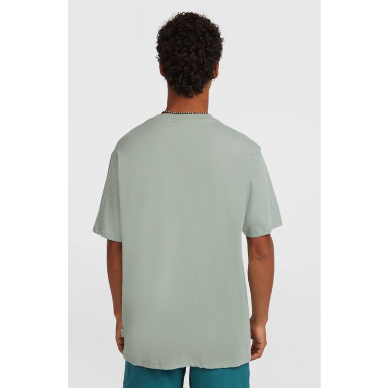O´Neill Original Cali Tee T-Shirt