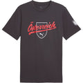 Puma Österrereich FtblCulture Tee T-Shirt