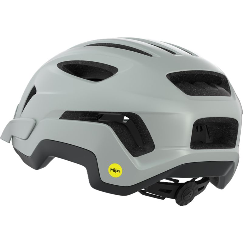 Alpina Paranus MIPS Radhelm