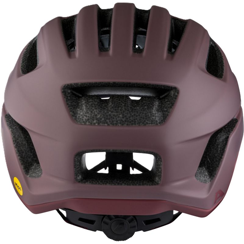 Alpina Paranus MIPS Radhelm