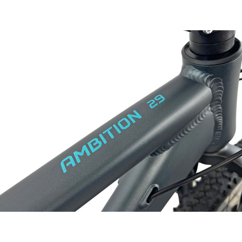 X Fact Ambition 29 Mountainbike
