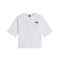 The North Face W HIKE PICNIC BOXY SS TEE-GRAPHIC T-Shirt