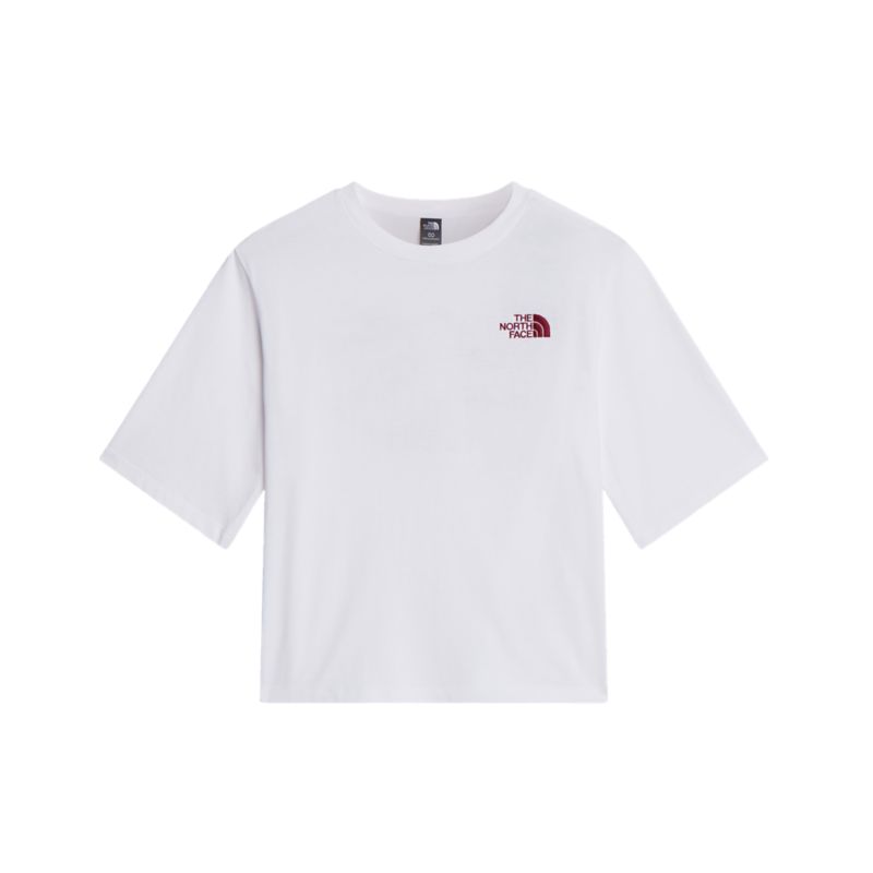 The North Face W HIKE PICNIC BOXY SS TEE-GRAPHIC T-Shirt